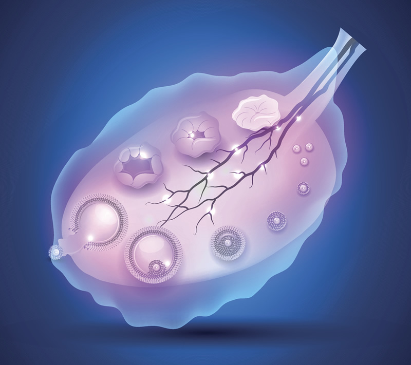 2026年中山大学附属第一医院单身未婚做试管助孕的费用高吗？费用详细介绍